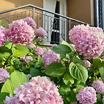 Ca Framari - Apartamento Marciaga