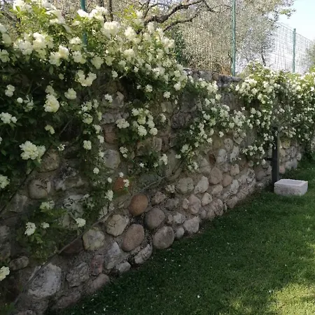 Appartement Ca Framari - Marciaga