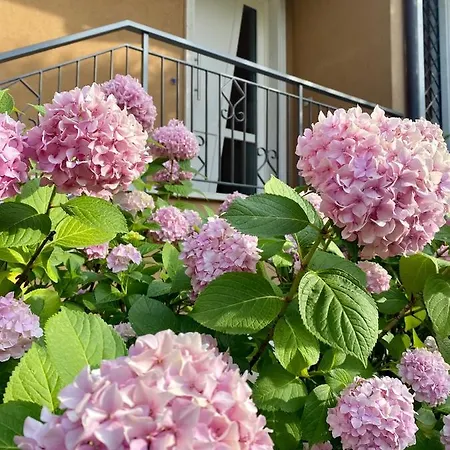 Ca Framari - Apartment Marciaga